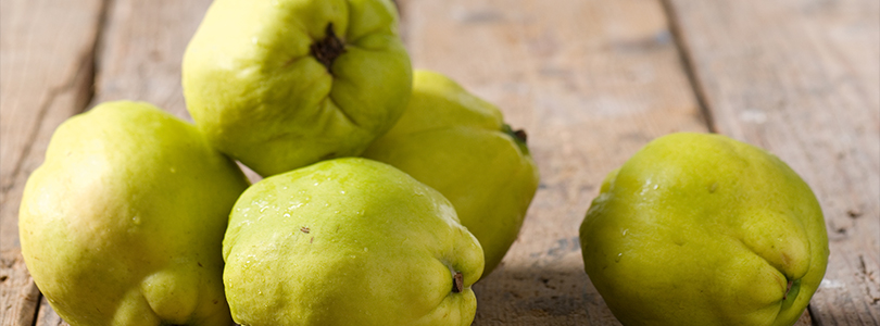 Quinces Quinces