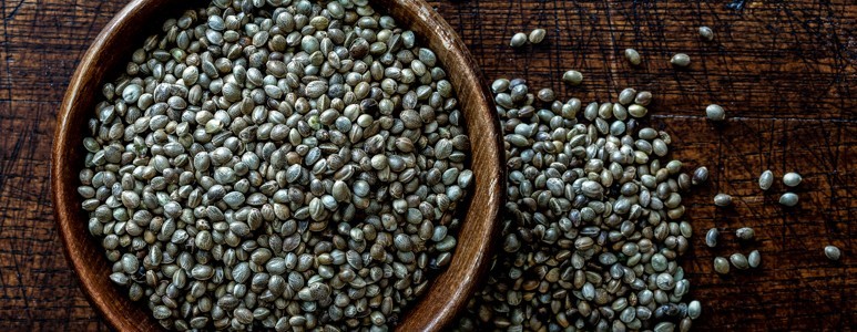 Hemp Hemp