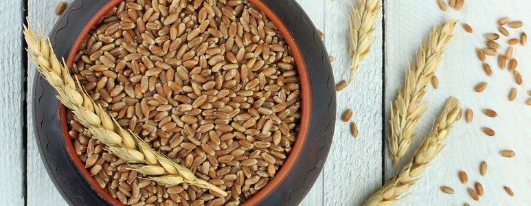 Farro Farro